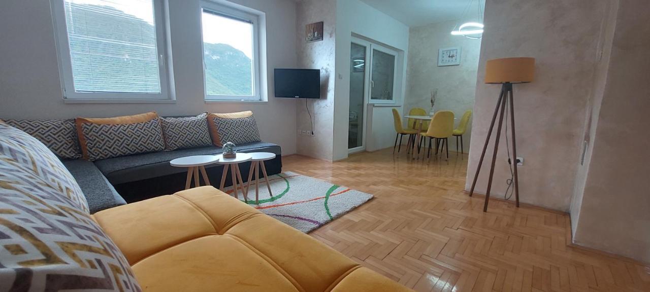 Apartman Bujisic Apartment Pluzine Exterior photo